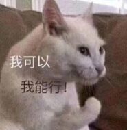 fighting